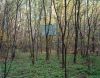 Basketball Court, Pripyat