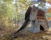Elephant Slide, Pripyat