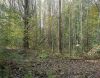Path and Slide, Pripyat